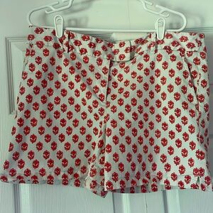 Ann Taylor Loft Shorts Size 14